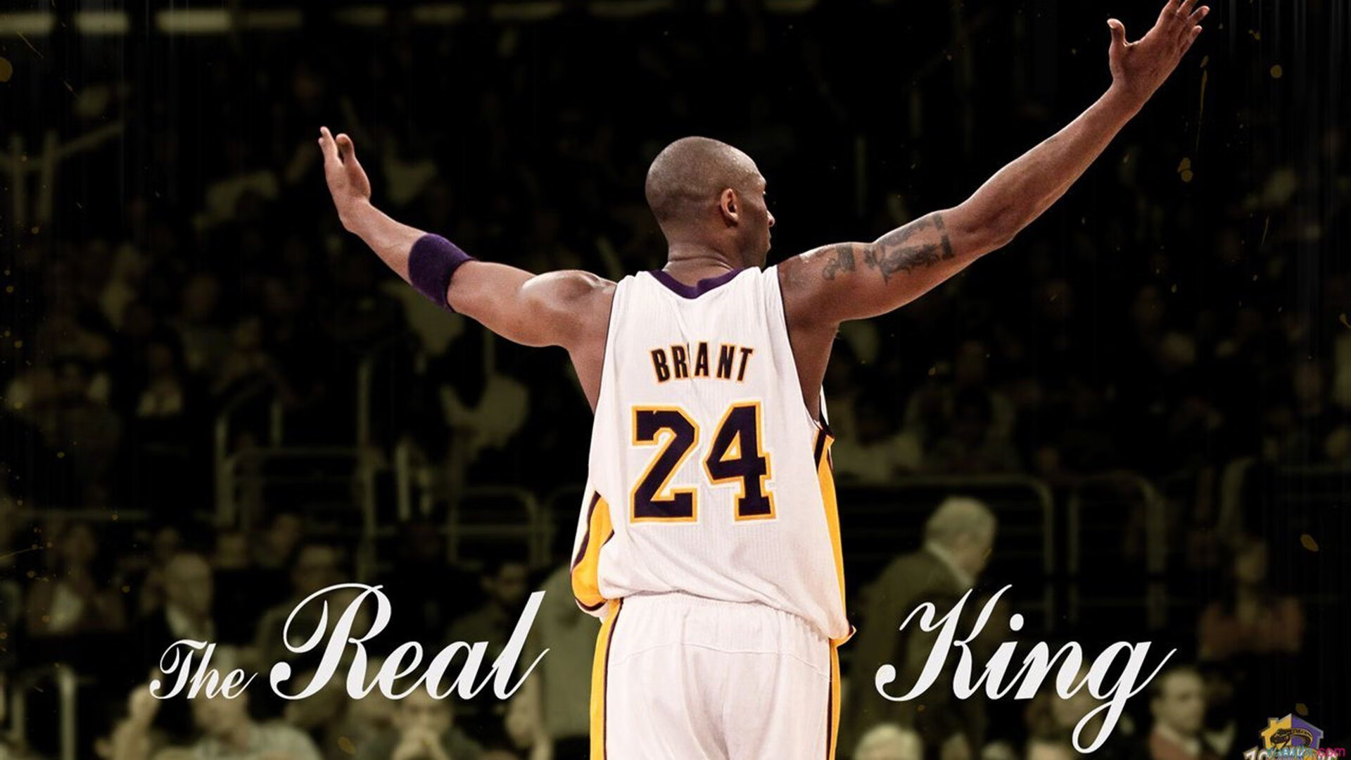 球队教练赛前战术布置解读，教练员赛前准备工作